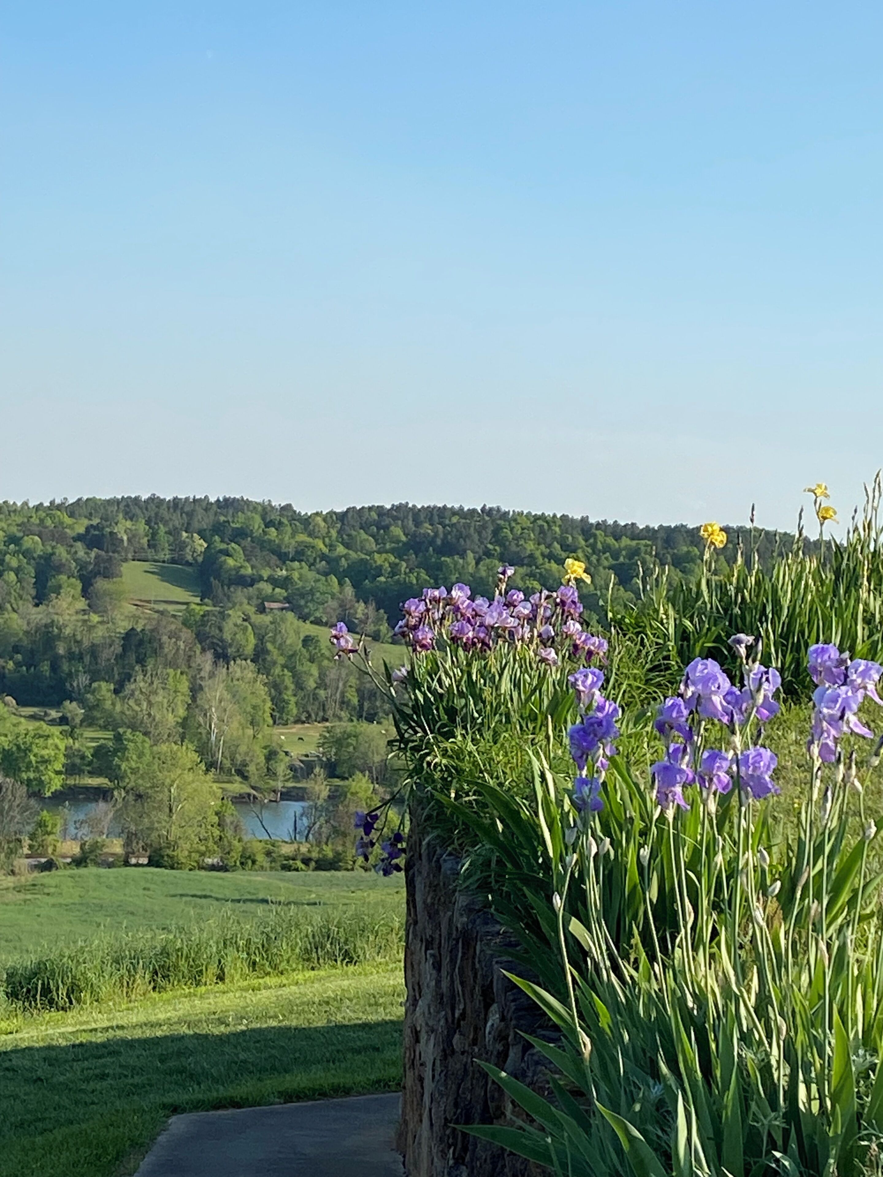 Àrea exterior de l'allotjament