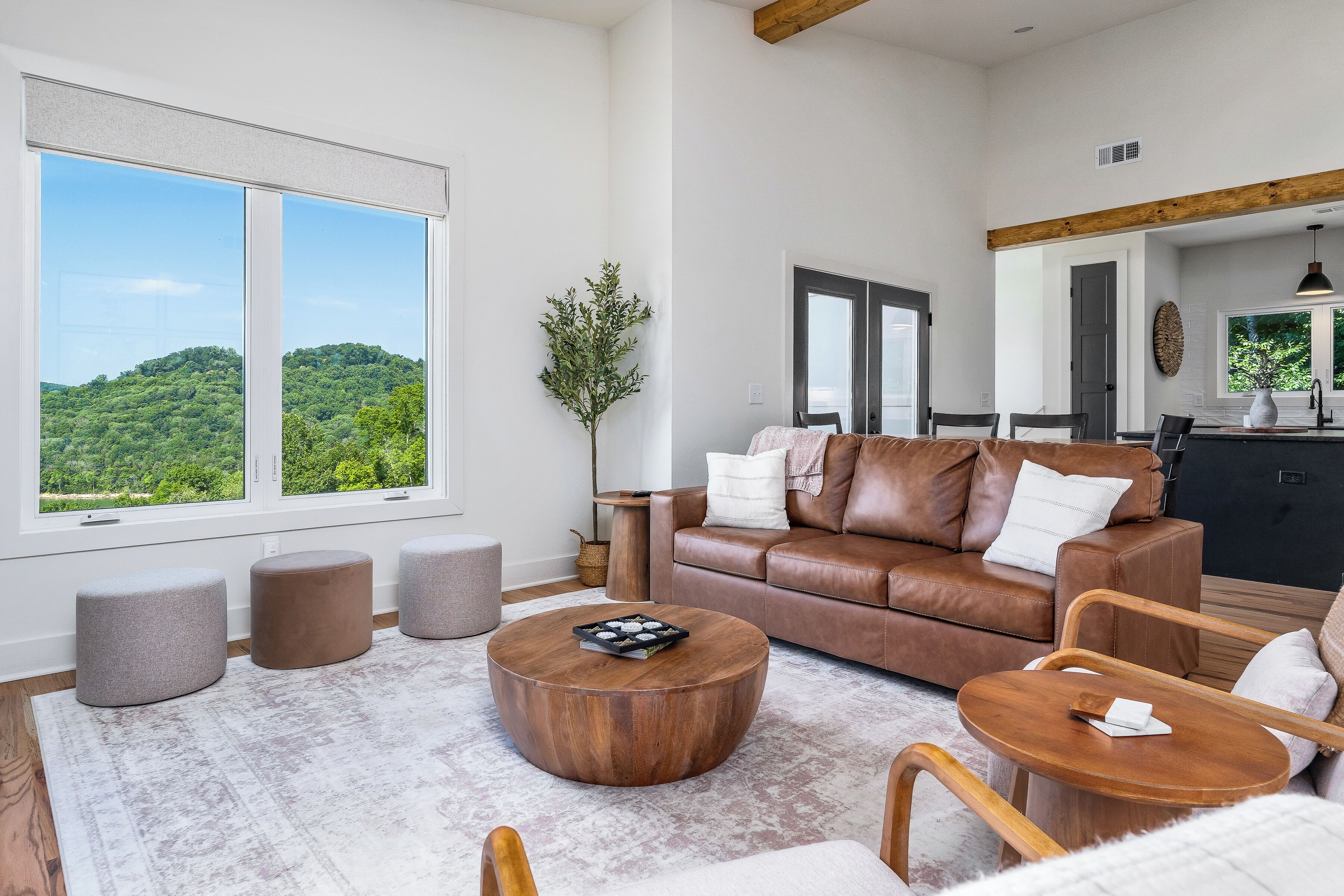 Smart TV, chimenea, estéreo y impresora 