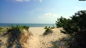 Beach - Cape Cod Charm -- Steps From Beach, 3 King Beds, Beach Equipment & Linens (Lewes)