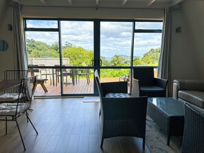 Televisio, DVD-soitin