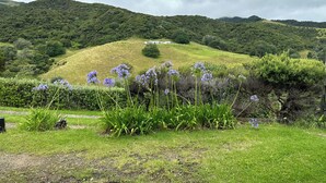 Property grounds - Apartment 4 (Coromandel)