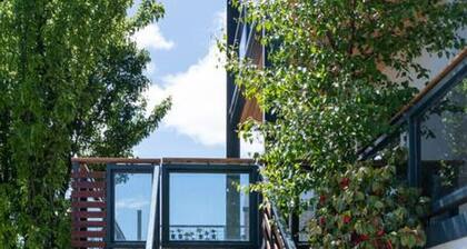 Fun For The Whole Family