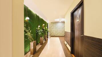 A hallway with a green wall, potted plants, and a wooden door.