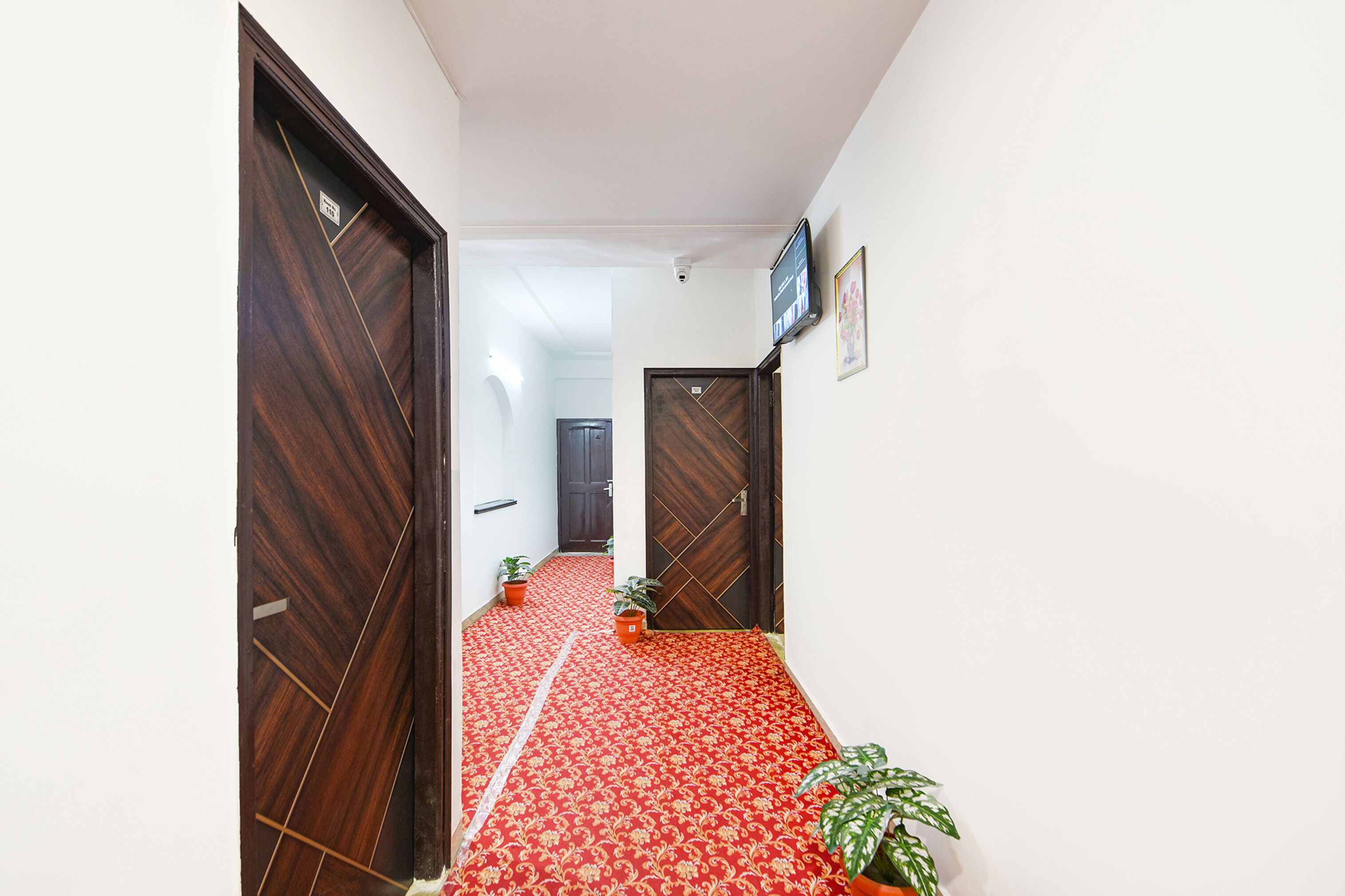 A hallway with a red carpet, wooden doors, and potted plants.