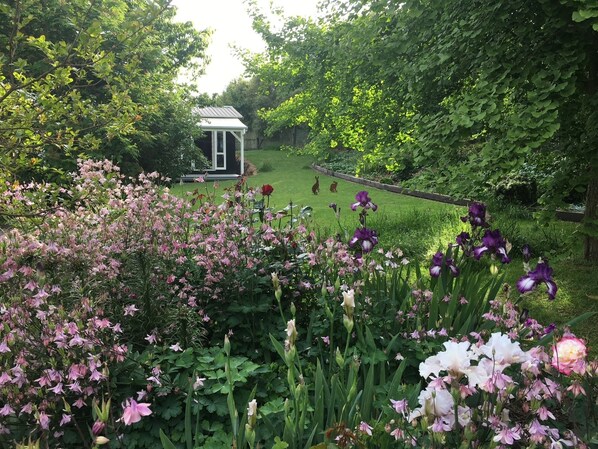 Property grounds - "The Homestead" Acacia Bay, close to The Bay Bar Brasserie & famous L'arte Cafe. (Taupo)