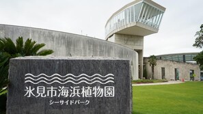 未分類圖片，第 3 張 (共 66 張)，按鈕