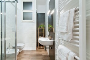 Dusche, Haartrockner, Bidet