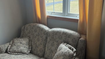 Smart-TV, Kamin