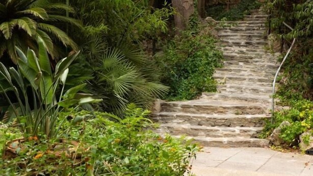 A stone staircase surrounded by lush greenery.