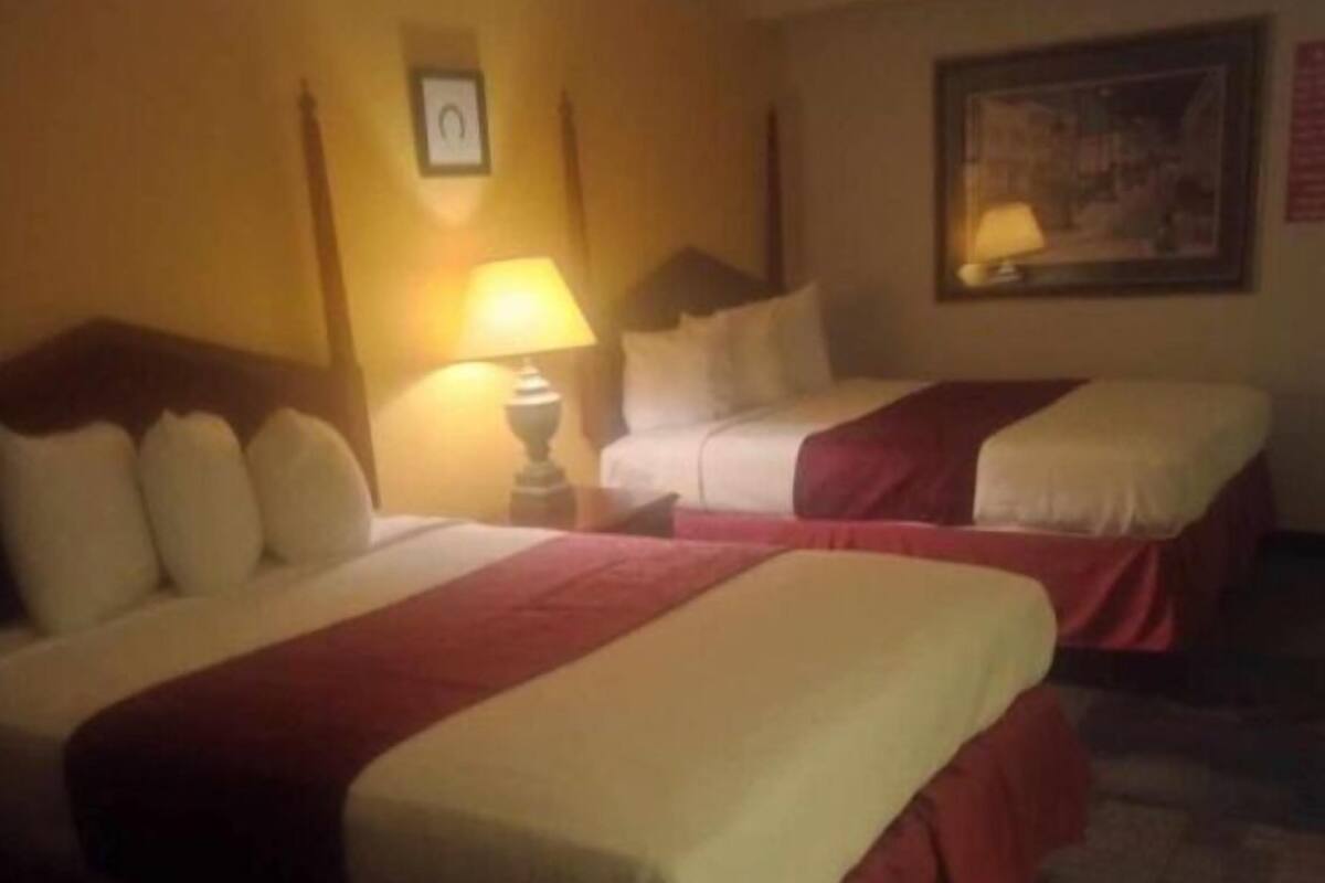 A hotel room with two beds, a nightstand with a lamp, and a framed picture on the wall.