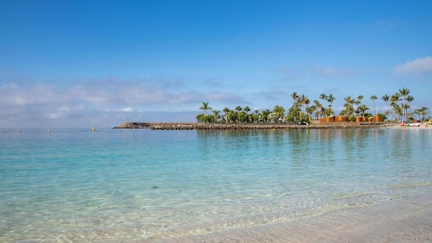 A clear turquoise sea with a sandy beach and a small island with palm trees and buildings. - Apartment in Maspalomas Near the Beach (San Bartolomé de Tirajana)
