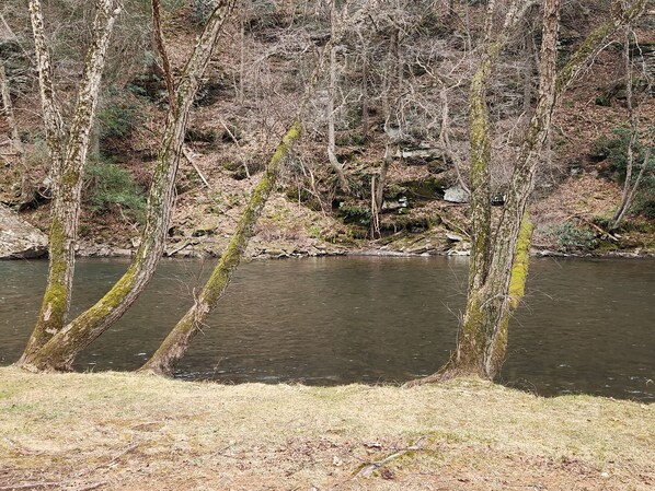 Un río con árboles en las orillas, rodeado de un área boscosa.