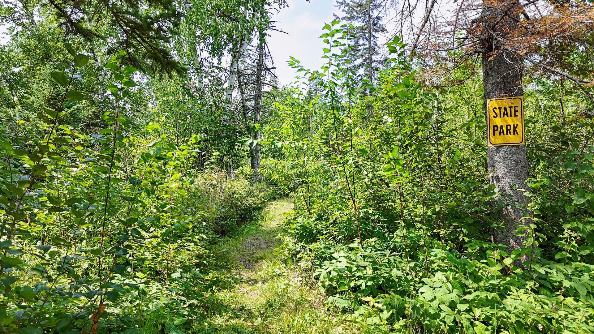 A forested area with a yellow sign indicating a state park.