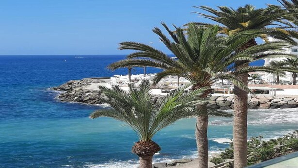 A coastal view with palm trees and a rocky shoreline. - Apartment in Mogan Near Playa de Mogan (Mogan)
