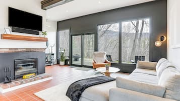 TV, fireplace, books, stereo