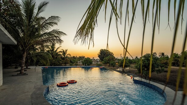 A swimming pool with a curved edge, surrounded by palm trees and a sunset in the background. - Aatman Forest Resort – A Luxury Stay in Sasan Gir (Talala)