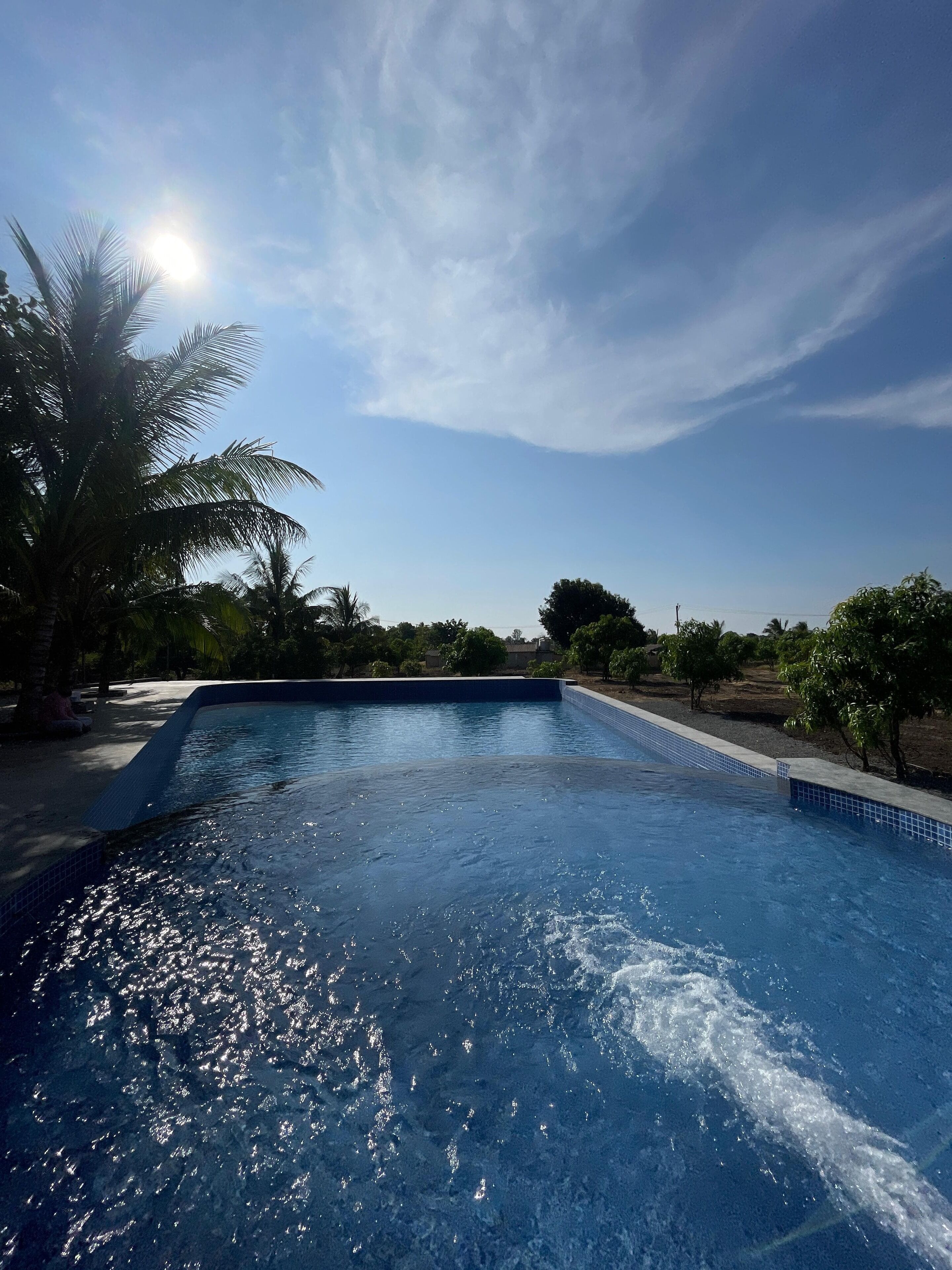 A swimming pool with clear blue water, surrounded by palm trees and greenery.