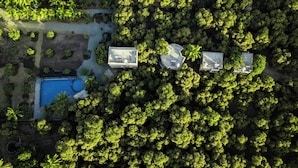 An aerial view of a resort with three buildings, a swimming pool, and dense surrounding greenery. - Aatman Forest Resort – A Luxury Stay in Sasan Gir (Talala)