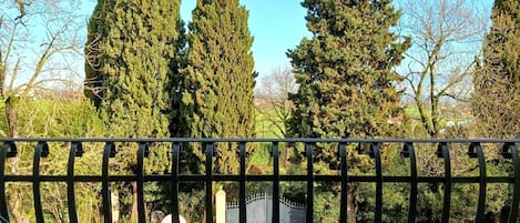 Suite de lujo, para no fumadores, vista al parque | Terraza o patio