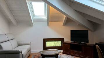 A loft-style room with a sloped ceiling, a large skylight, a sofa, a coffee table, a TV, and a cabinet.
