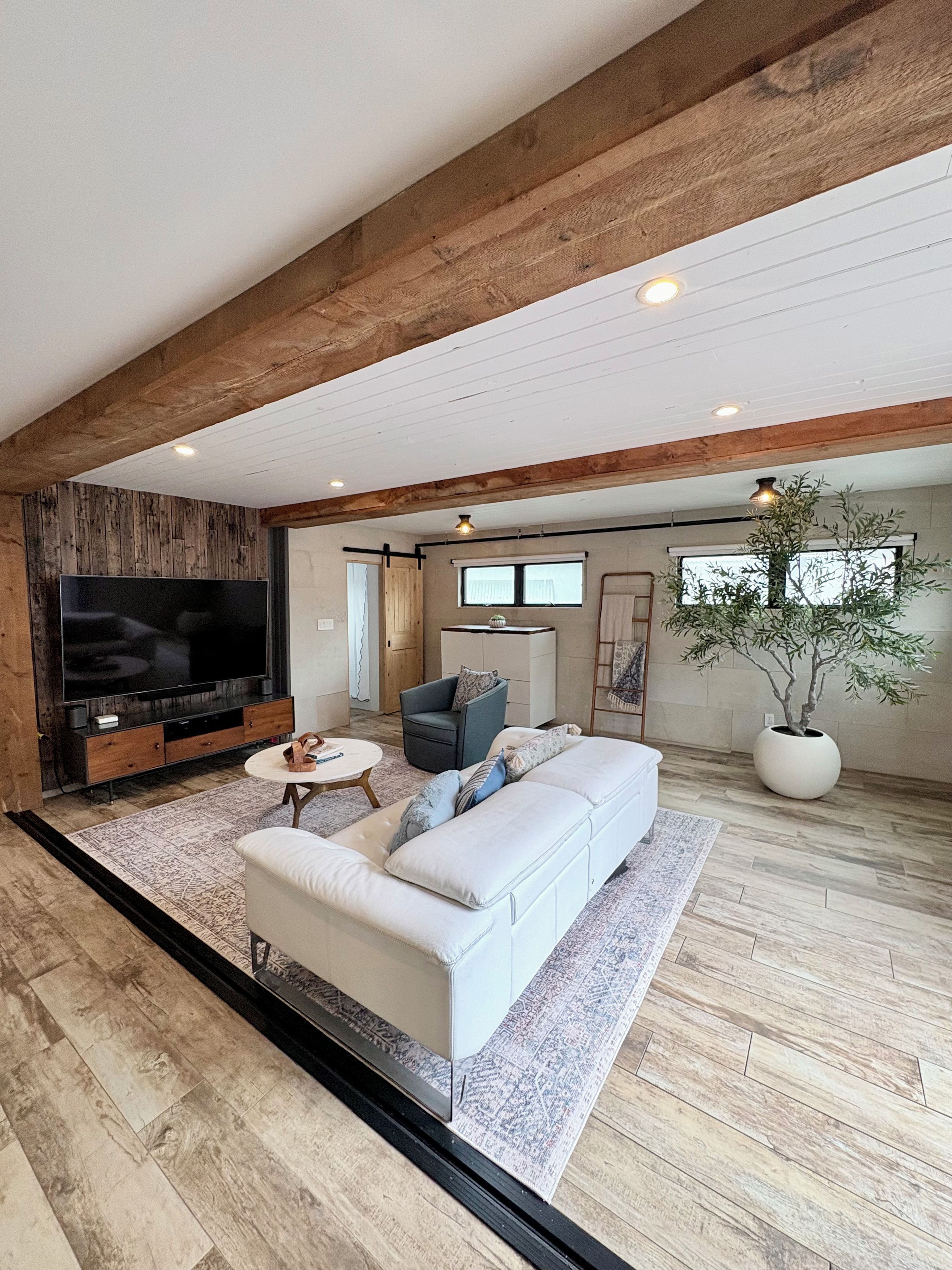 A modern living room with a large flat-screen TV, a sofa, a coffee table, and a potted plant.
