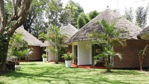 Un hébergement de style bungalow, doté d’un toit de chaume, entouré d’une végétation luxuriante et de palmiers.