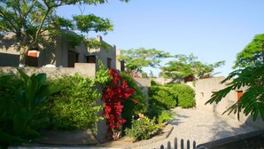 A courtyard with a stone pathway, lush greenery, and a building with a flat roof. - Cavo Grosso Bungallows (Mavrovouni)