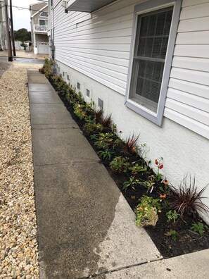 Détail de l’extérieur