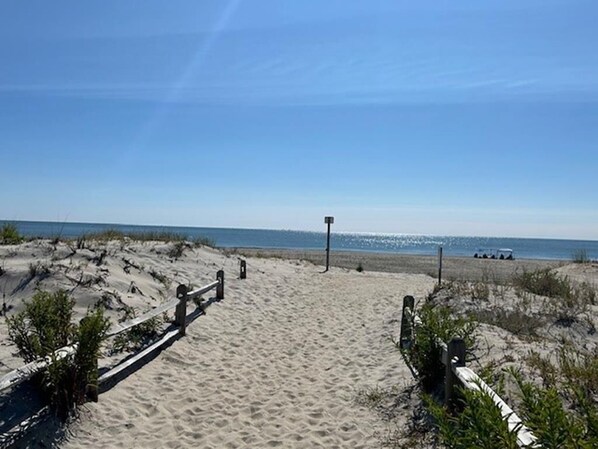 Strand