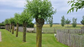 Une rangée d’arbres, une clôture en bois et un banc se trouvent dans un espace verdoyant.