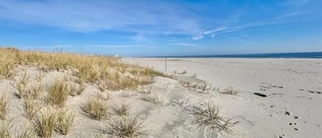 Spiaggia