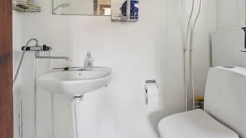 Shower, hair dryer