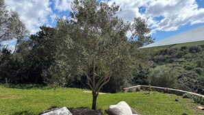 A wicker lounge chair with a cushion, positioned in a grassy area with a tree and a stone wall in the background. - Seaside villa, Gulf of LAVA, Appietto, South Corsica (Appietto)