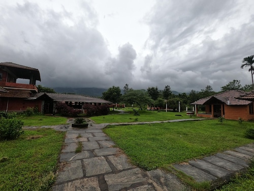 Jungle Mount Adventures