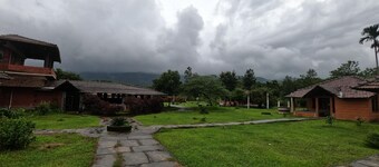 Jungle Mount Adventures