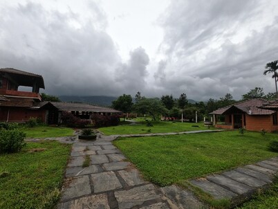 Jungle Mount Adventures