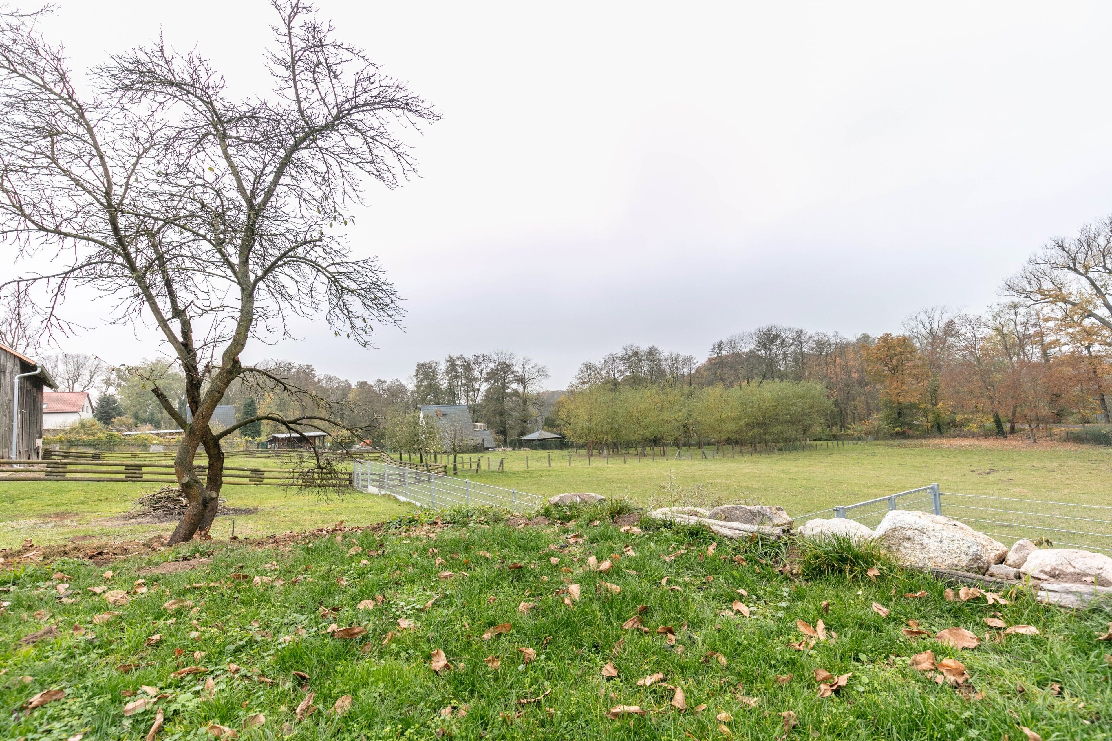 Un paysage rural avec un arbre, une zone herbeuse, des rochers et une clôture.