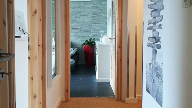 Un couloir avec un cadre de porte en bois, un mur en pierre, une plante en pot rouge et un paillasson noir.