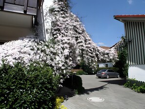 住宿地面