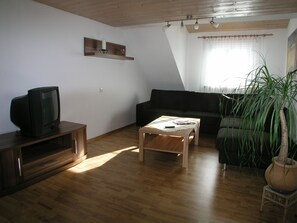TV, table tennis