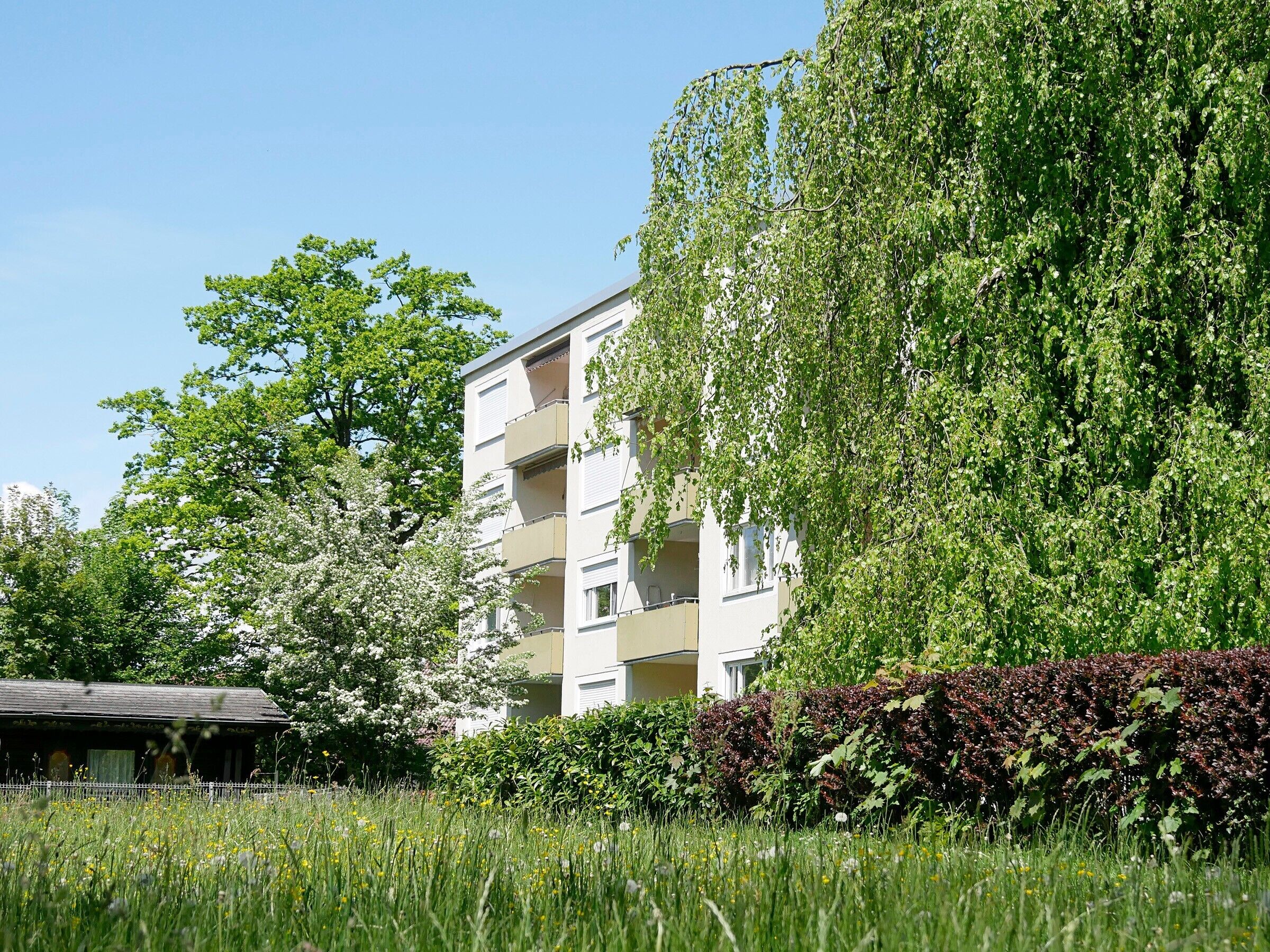 Un immeuble résidentiel à plusieurs étages, doté de balcons, entouré d’une végétation luxuriante et d’arbres en fleurs.