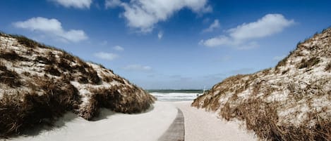 Playa en los alrededores