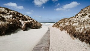 A pathway leading to a beach with dunes on either side.