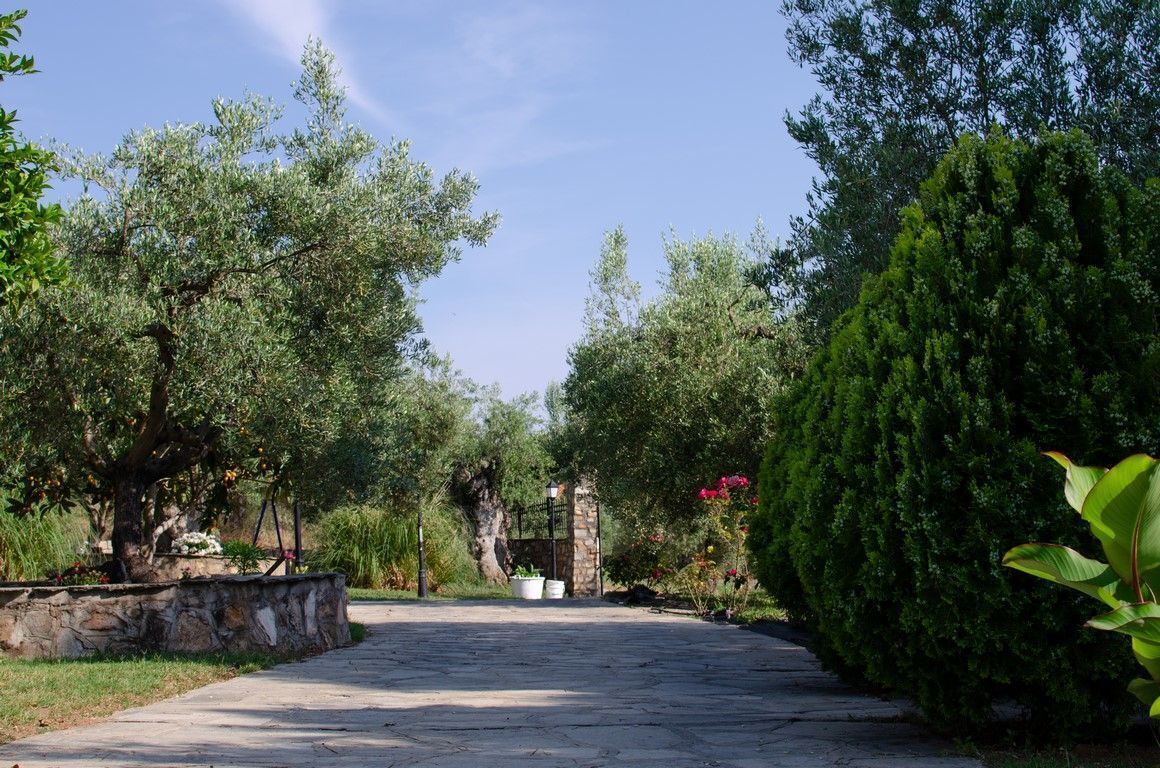 Ulkopuoli