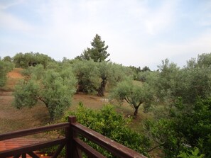 View from property - Makis House (Sithonia)