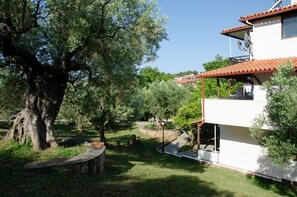 Exterior - Makis House (Sithonia)