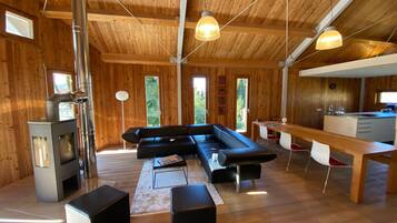 TV, fireplace, table tennis