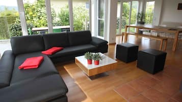 TV, fireplace, DVD player, table tennis