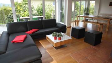 TV, fireplace, DVD player, table tennis