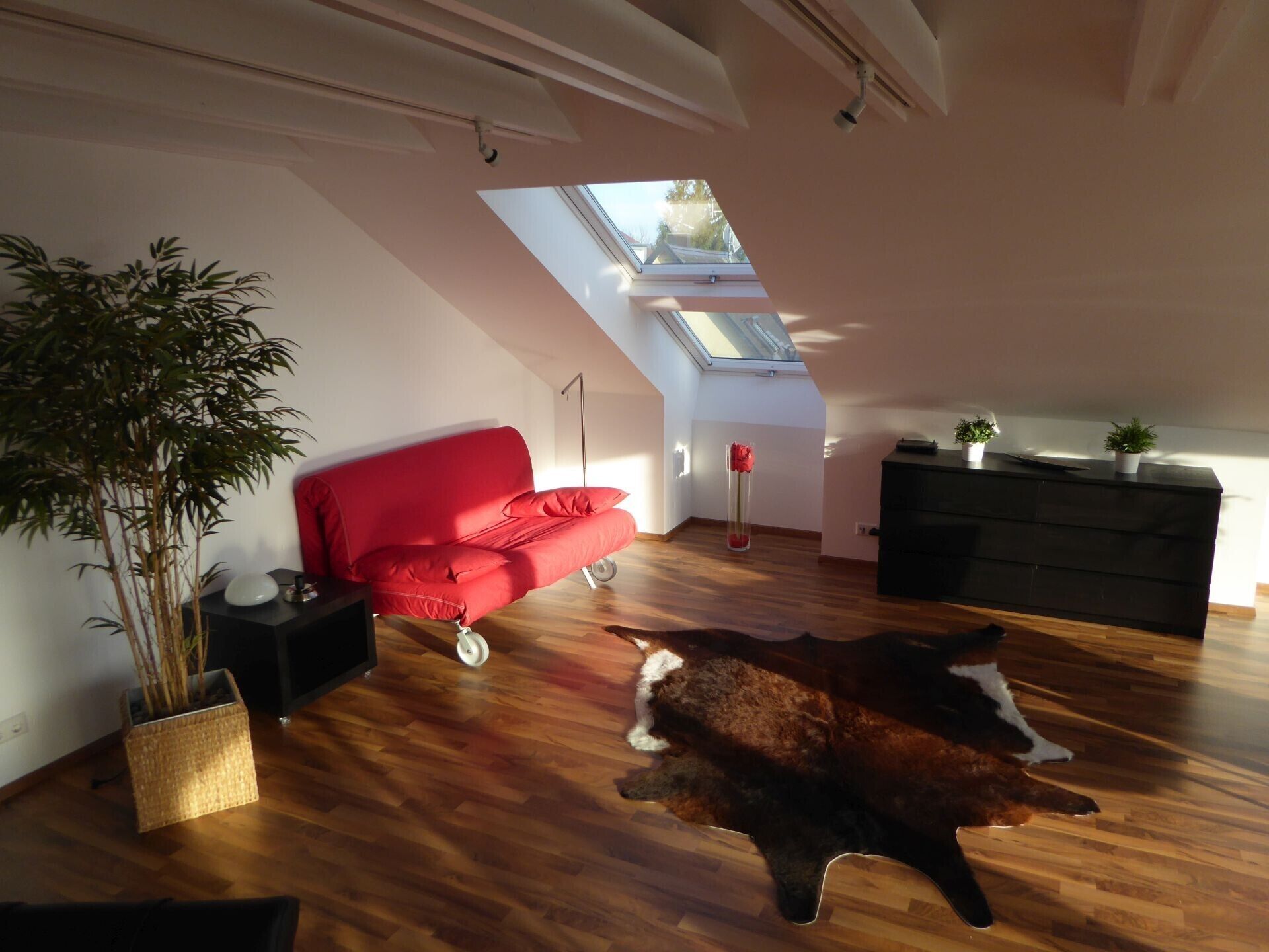 Ein geräumiger Loft mit einem roten Sofa, einem auf dem Boden liegenden Hund, einem Topfpflanzen und einem schwarzen Schrank.